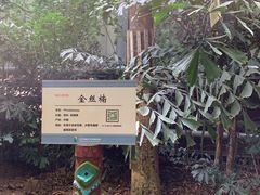 -北京呀路古热带植物园