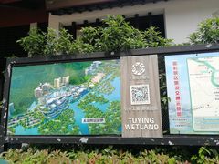 -长兴太湖图影湿地文化园
