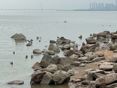-深圳湾公园(南山区)