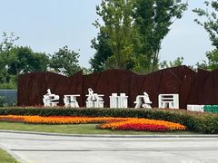 -上海滨江森林公园