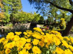 -上海共青森林公园