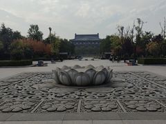 -清凉山国家森林公园