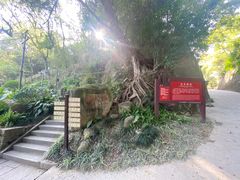 -乌山风景区