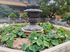 -仙岳公园
