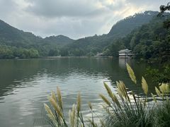 -黔灵山公园