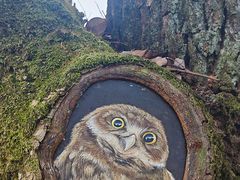 -潜山国家森林公园