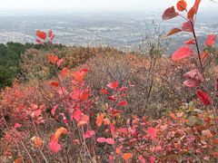 -北京西山国家森林公园