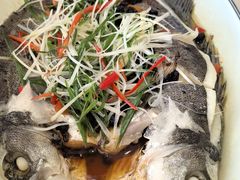 -香港新记茶餐厅(春熙太古里店)