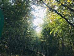 -终南山古楼观历史文化景区
