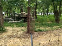 -秦皇岛野生动物园
