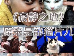 -英皇电影城(英皇集团中心IMAX店)