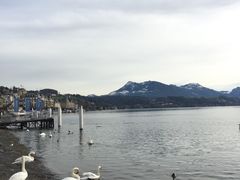 琉森湖-卢塞恩湖