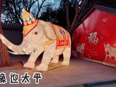 -南宫五洲植物乐园