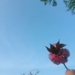 顾村公园-椿树下·Tattoo纹身工作室