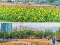 -海心沙亚运公园