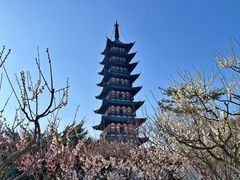 -上海方塔园