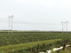 -滦州古城