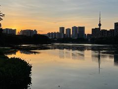 -文华公园(禅城区)