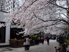 -玛格萝妮比萨屋(四平店)