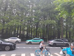 -杭州西湖风景名胜区-满觉陇四眼井