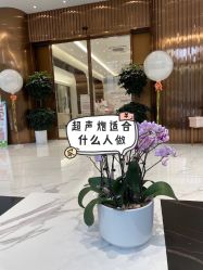 -深圳美莱医疗美容医院
