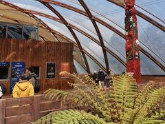 -怀托摩萤火虫洞