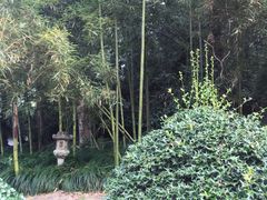 -杭州西湖风景名胜区-三生石