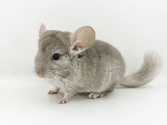 -龙猫仔乐园(惠福东路店)