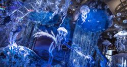 -静安洲际酒店·宴会厅