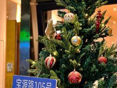 -森Some Fusion(荔湾店)
