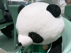 -眉州东坡·熊猫主题餐厅(枫蓝店)