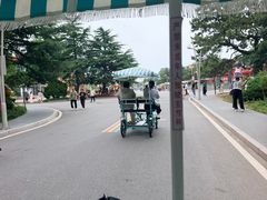-日照海滨国家森林公园