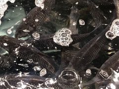 -大润发(太仓店)