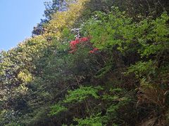 -众神白水涧景区
