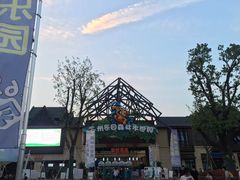 -苏州乐园森林水世界