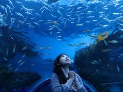 -海合安成都极地海洋公园
