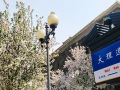 -天津五大道文化旅游区