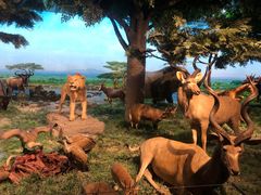 -国家自然博物馆