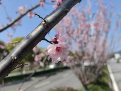 -婺源站