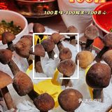 🔥北京热门榜第一名火锅🥇一定要早来‼️