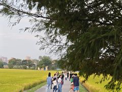 -嘉北郊野公园