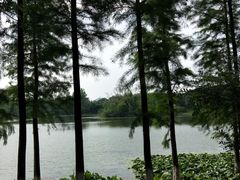 -艾溪湖湿地公园