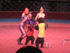 -环球城国际大马戏