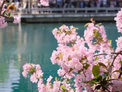-济南大明湖景区