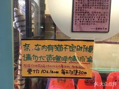 -猫咪博物馆(顶澳仔猫街店)