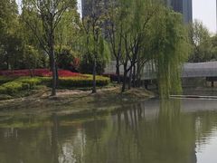 -南翔镇银翔湖公园