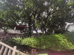 -乌山风景区