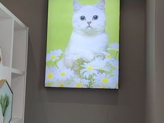 -关爱宠物医院·猫科中心·消化科(滨湖万达分院)