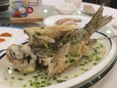 特色葱油飞鱼-岭南海晏楼(滨江东总店)