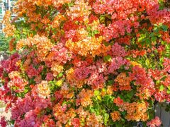 -天河客运站(地铁站)